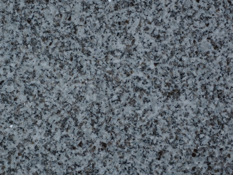 �y�������